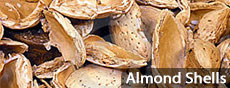 Almond Shells