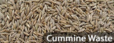 Cummine Waste