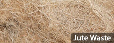 Jute Fibers